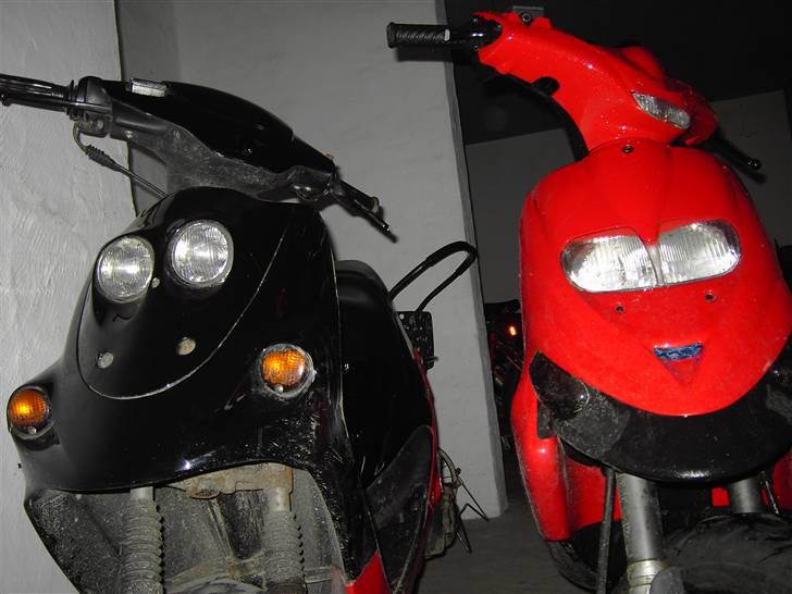 Adly Falcon billede 5