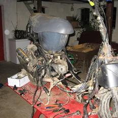 PGO RODOSHOW / HOT 50