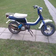 Suzuki fz 50