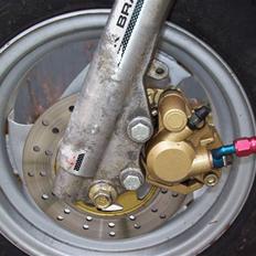 PGO Hot'50 "The Beast"