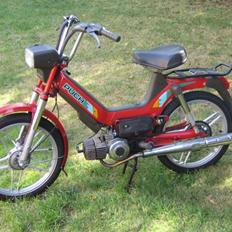 Puch Maxi P1 "SOLGT"