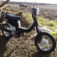 Suzuki FZ50 .:BYTTET:.