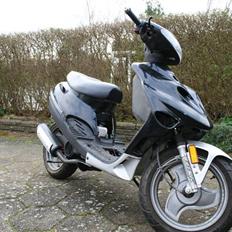 Adly Silverfox "SneakyFox"