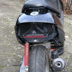 Adly Silverfox "SneakyFox"