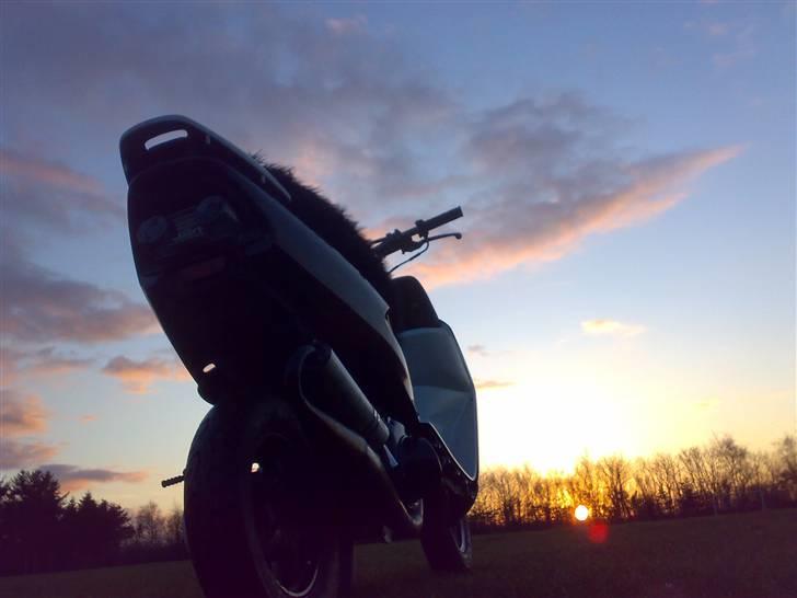 Honda Sfx....solgt  billede 9