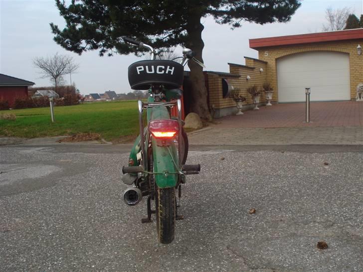 Puch Maxi billede 6