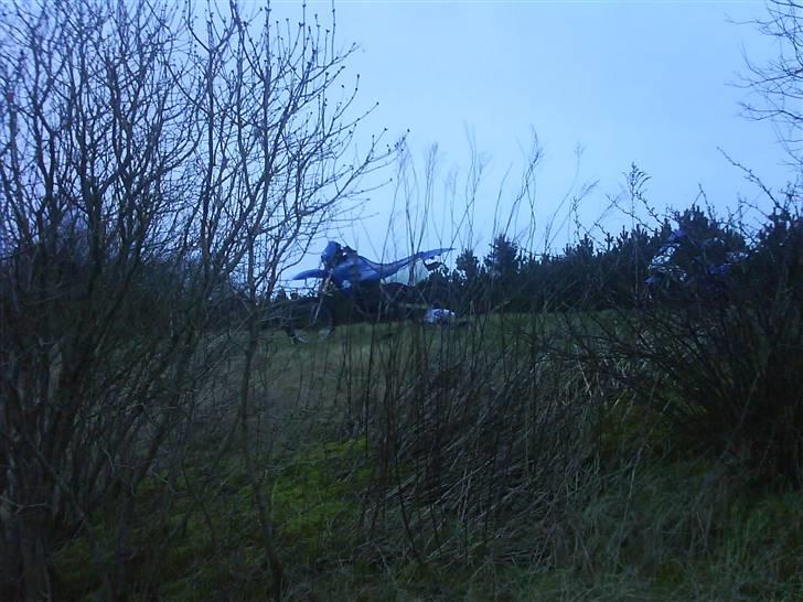 Suzuki smx Solgt den 14.11 :( billede 1