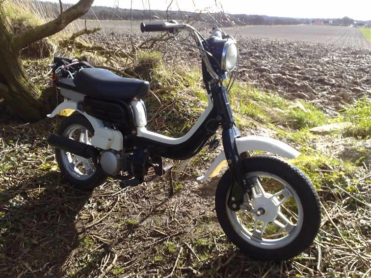 Suzuki FZ50 .:BYTTET:. billede 1