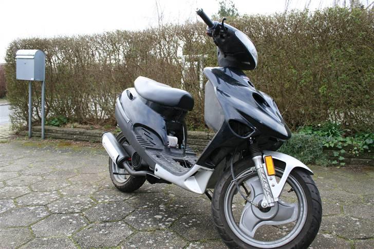 Adly Silverfox "SneakyFox" billede 1