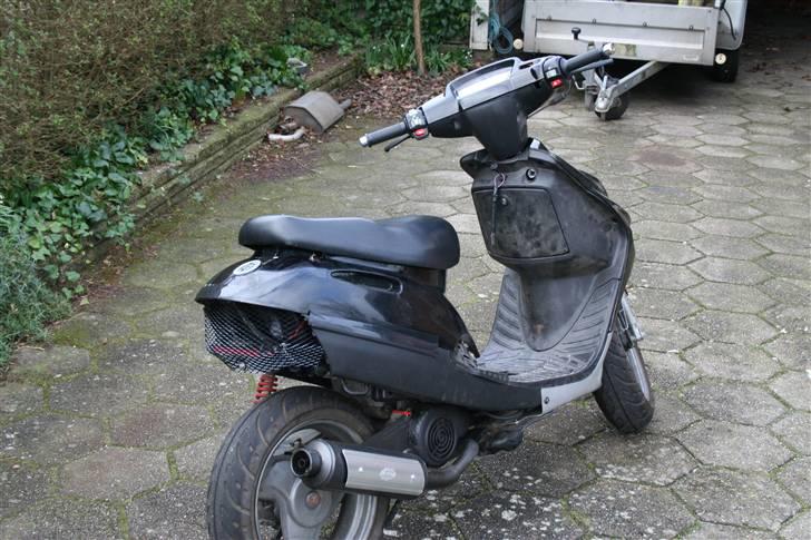 Adly Silverfox "SneakyFox" billede 2