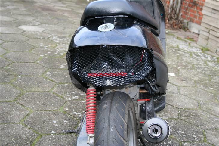 Adly Silverfox "SneakyFox" billede 3