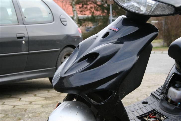 Adly Silverfox "SneakyFox" billede 4