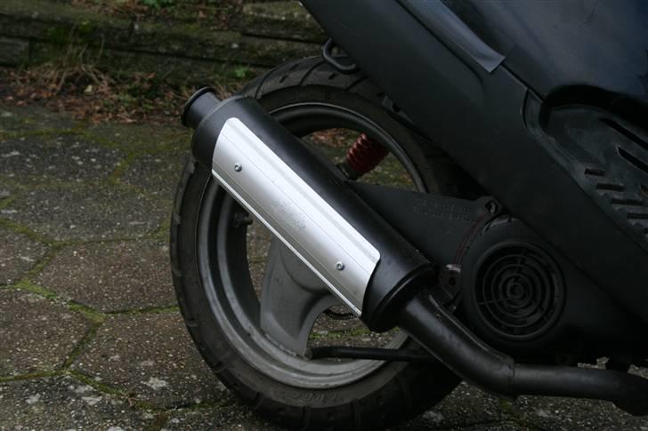 Adly Silverfox "SneakyFox" billede 5