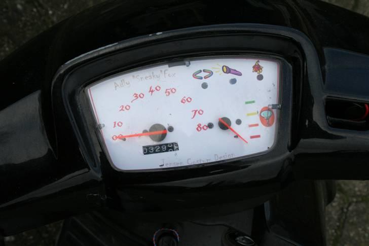 Adly Silverfox "SneakyFox" billede 6