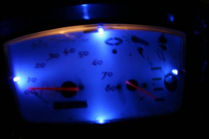 Adly Silverfox "SneakyFox" billede 7