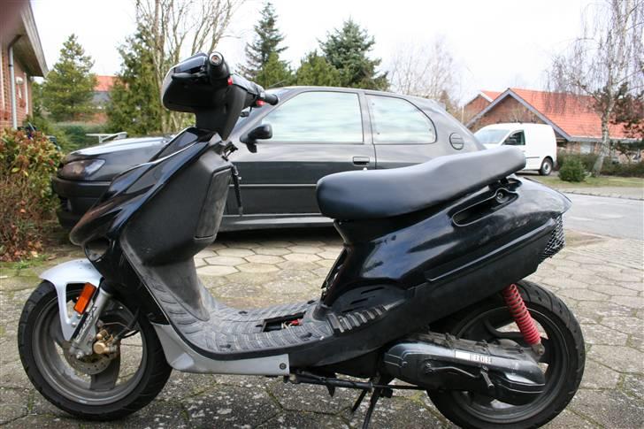 Adly Silverfox "SneakyFox" billede 8