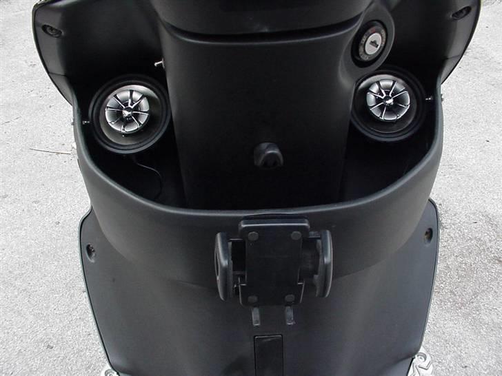 PGO T-Rex (Solgt) billede 5