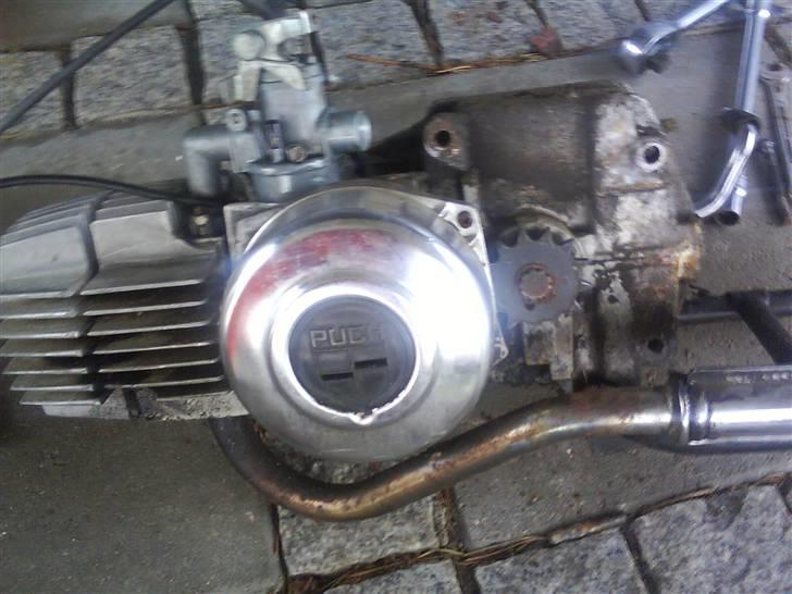 Puch Maxi KL billede 13