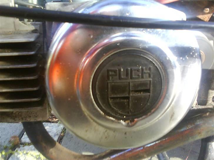 Puch Maxi KL billede 17