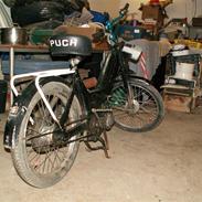 Puch maxi p (solge/byttet)