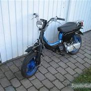 Suzuki Fz50 >> SOLGT! <<