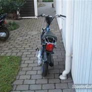 Suzuki Fz50 >> SOLGT! <<