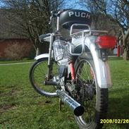 Puch Maxi Kl