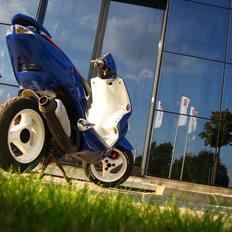 Peugeot Speedfight 307 WRC- SOLGT