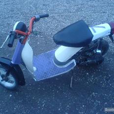 PGO pgo Passola byttet