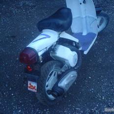 PGO pgo Passola byttet