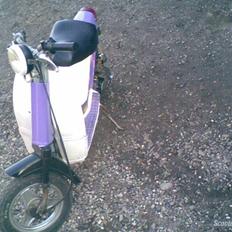 PGO pgo Passola byttet