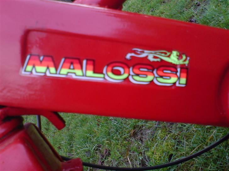 Vespa ciao  billede 5