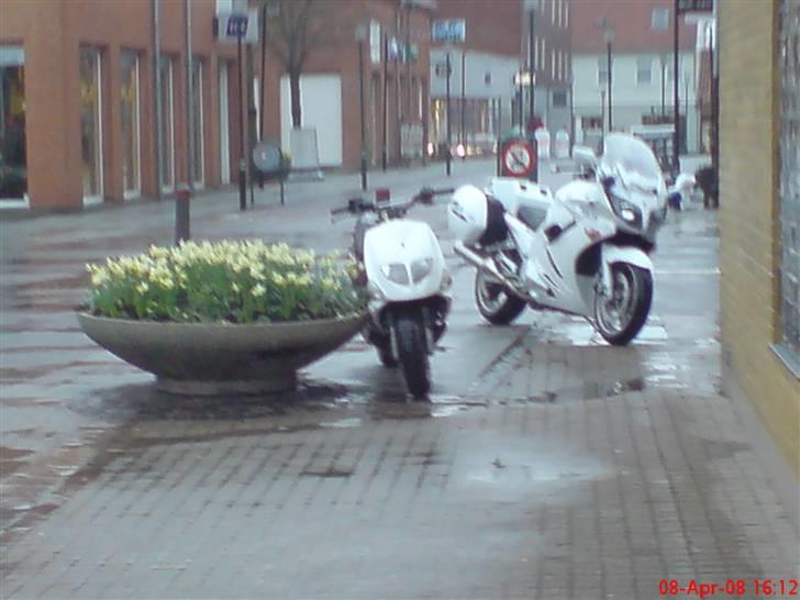 PGO big # Solgt! billede 20