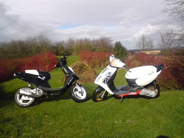 PGO Hot × 50 | Solgt - Hot 50 & Sonic :) billede 13