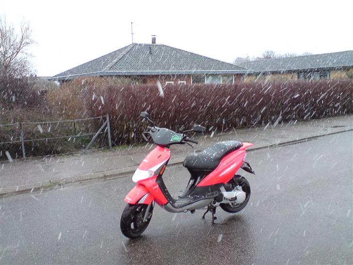 Derbi Atlantis Bullet solgt ); billede 9