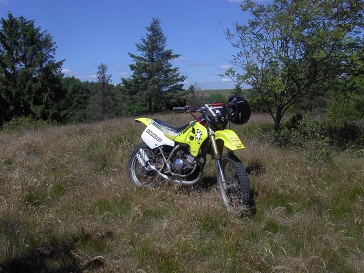 Suzuki Rmx Pro TILSALG billede 4