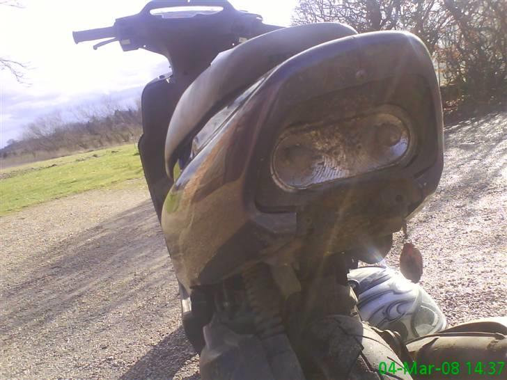 Honda SFX billede 8