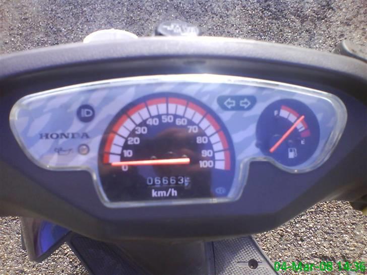 Honda SFX billede 10