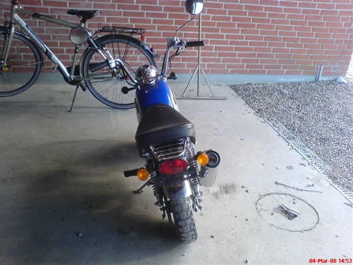 Jincheng Gorilla billede 2