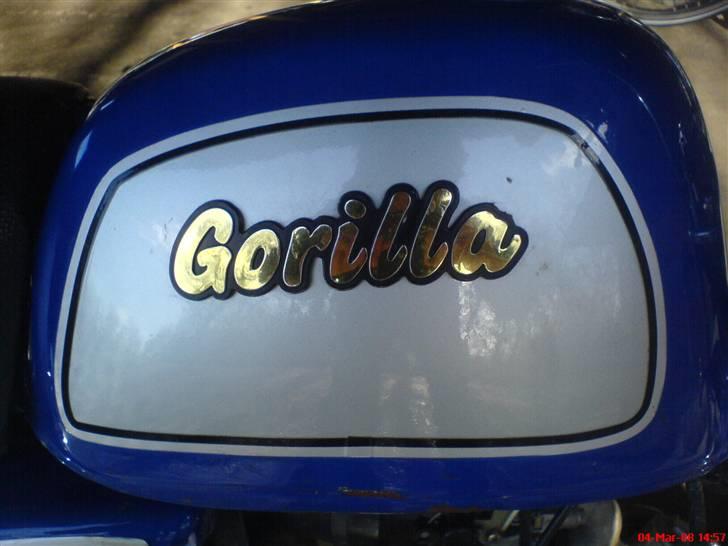 Jincheng Gorilla billede 5