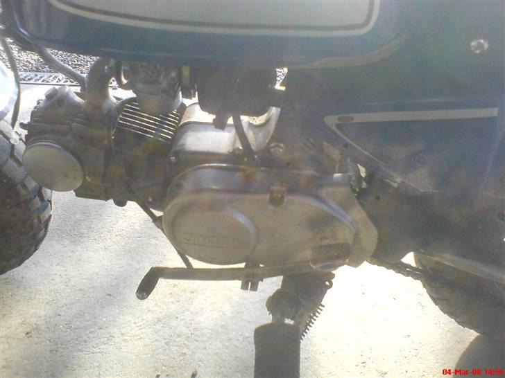 Jincheng Gorilla billede 7