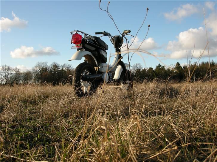 Suzuki FZ 50. Færdig. SOLGT! - Den 4 marts 2008 , første rigtige sol :D billede 13