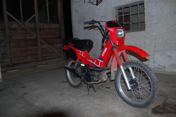 Yamaha Sting *Dræbersneglen* billede 1