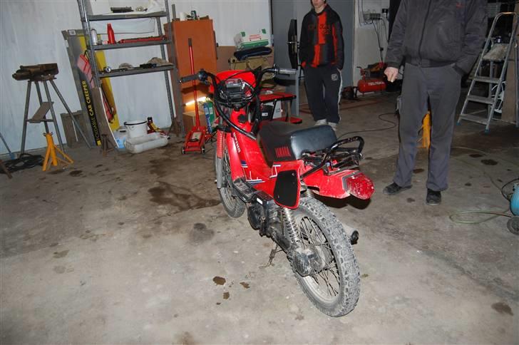 Yamaha Sting *Dræbersneglen* billede 5