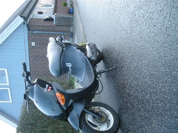 PGO Rodoshow Solgt billede 2