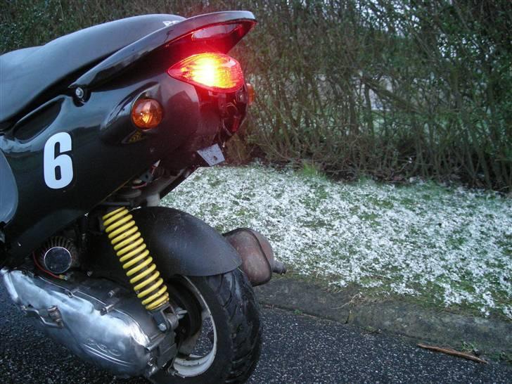 PGO Rodoshow Solgt billede 4