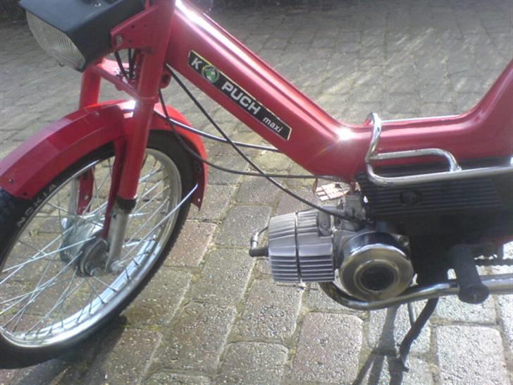 Puch Maxi K billede 5