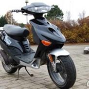 Adly Silverfox Solgt, miss you