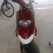 Gilera stalker