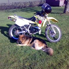 Suzuki Rmx LC Byttede